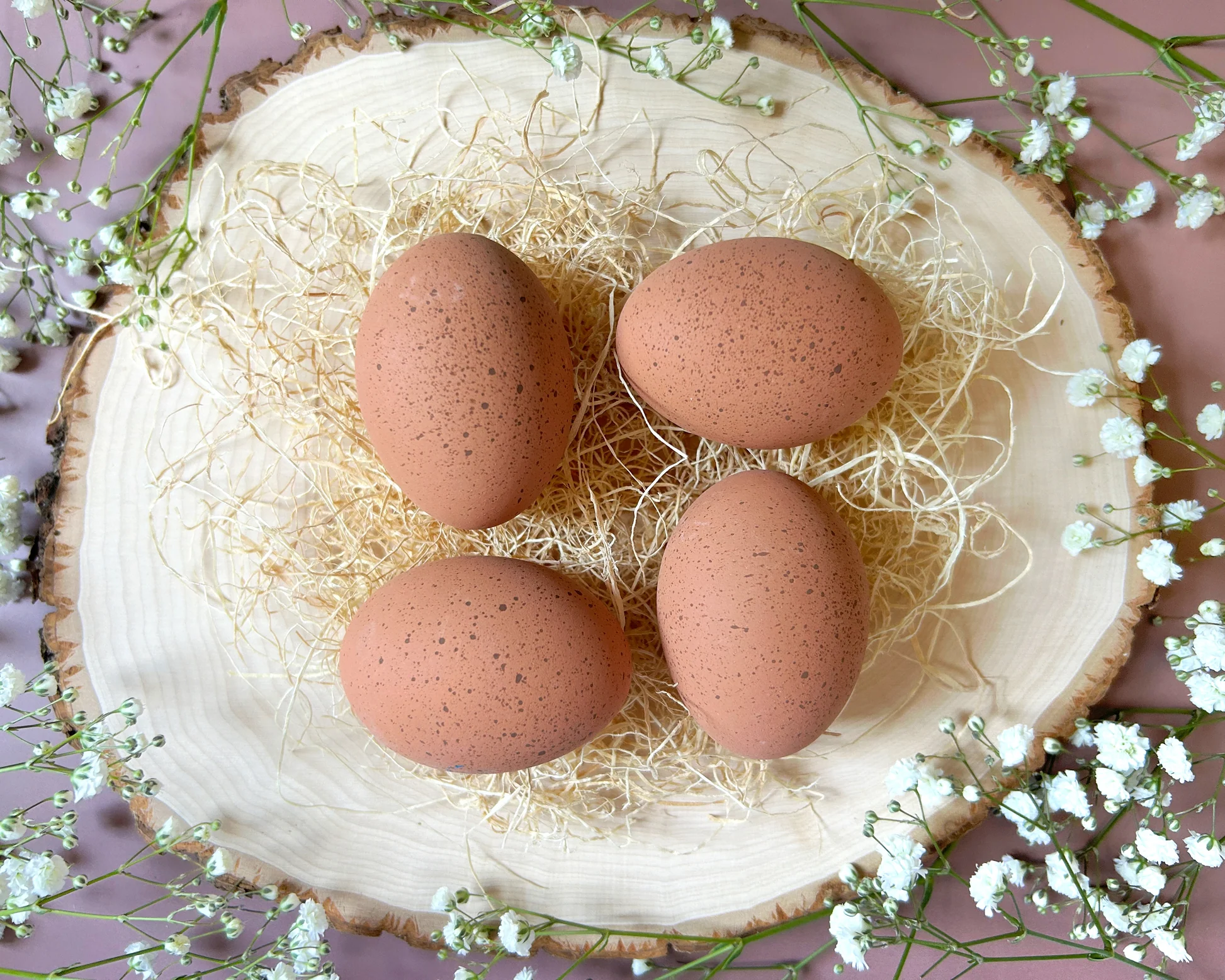 A ceramic dummy egg resting in clean pine shavings inside a wooden chicken nesting box