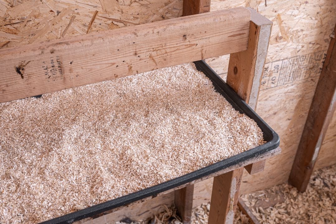 A chicken coop roosting area with a wooden droppings board beneath the roost bars, showing a cleanable surface and dry bedding nearby