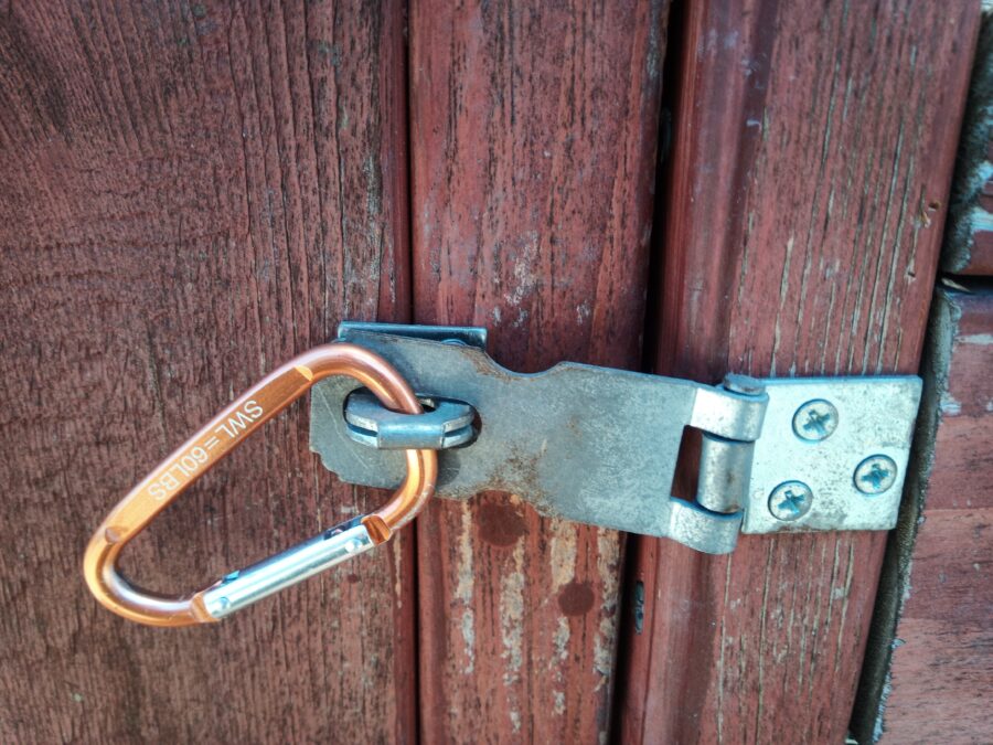 A chicken run door with a sturdy metal latch secured using a carabiner clip, mounted on a wooden frame