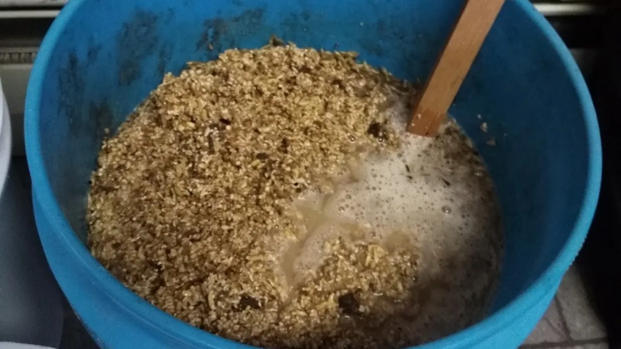 Fermented Chicken Feed