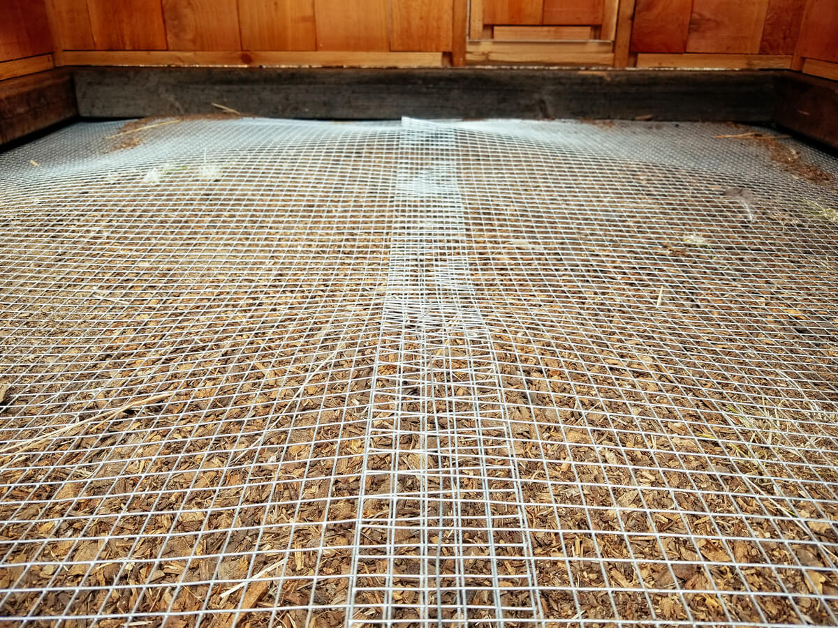 A covered chicken run with a hardware cloth roof and wooden support beams, with sunlight casting a grid shadow on the ground