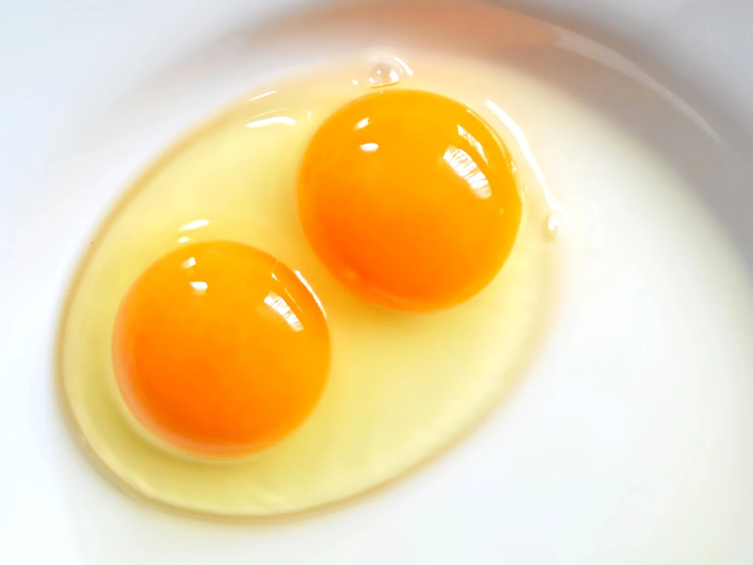 A freshly cracked egg in a ceramic bowl showing two intact yolks side by side with clear egg white