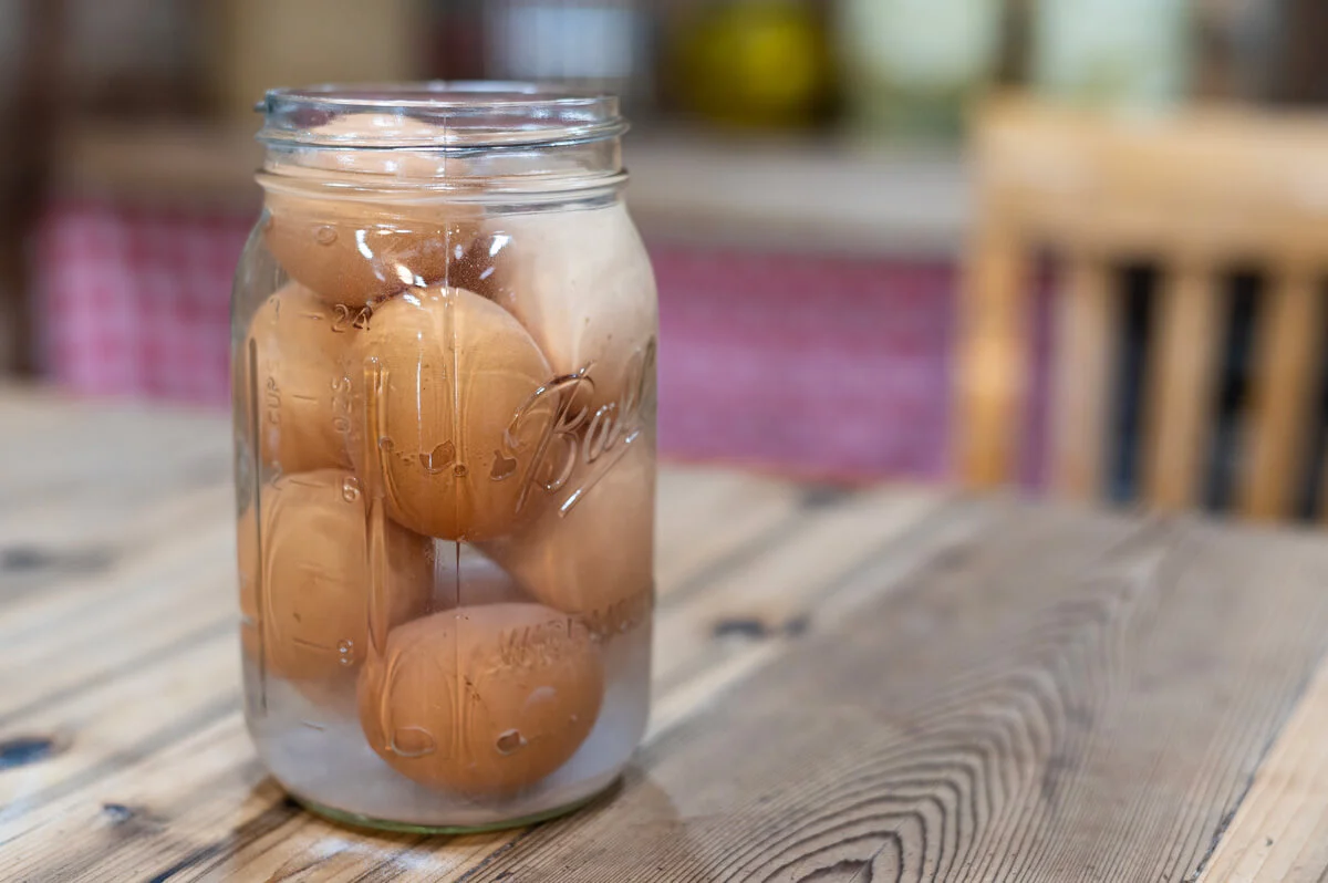 Water Glassing and Freezing Eggs