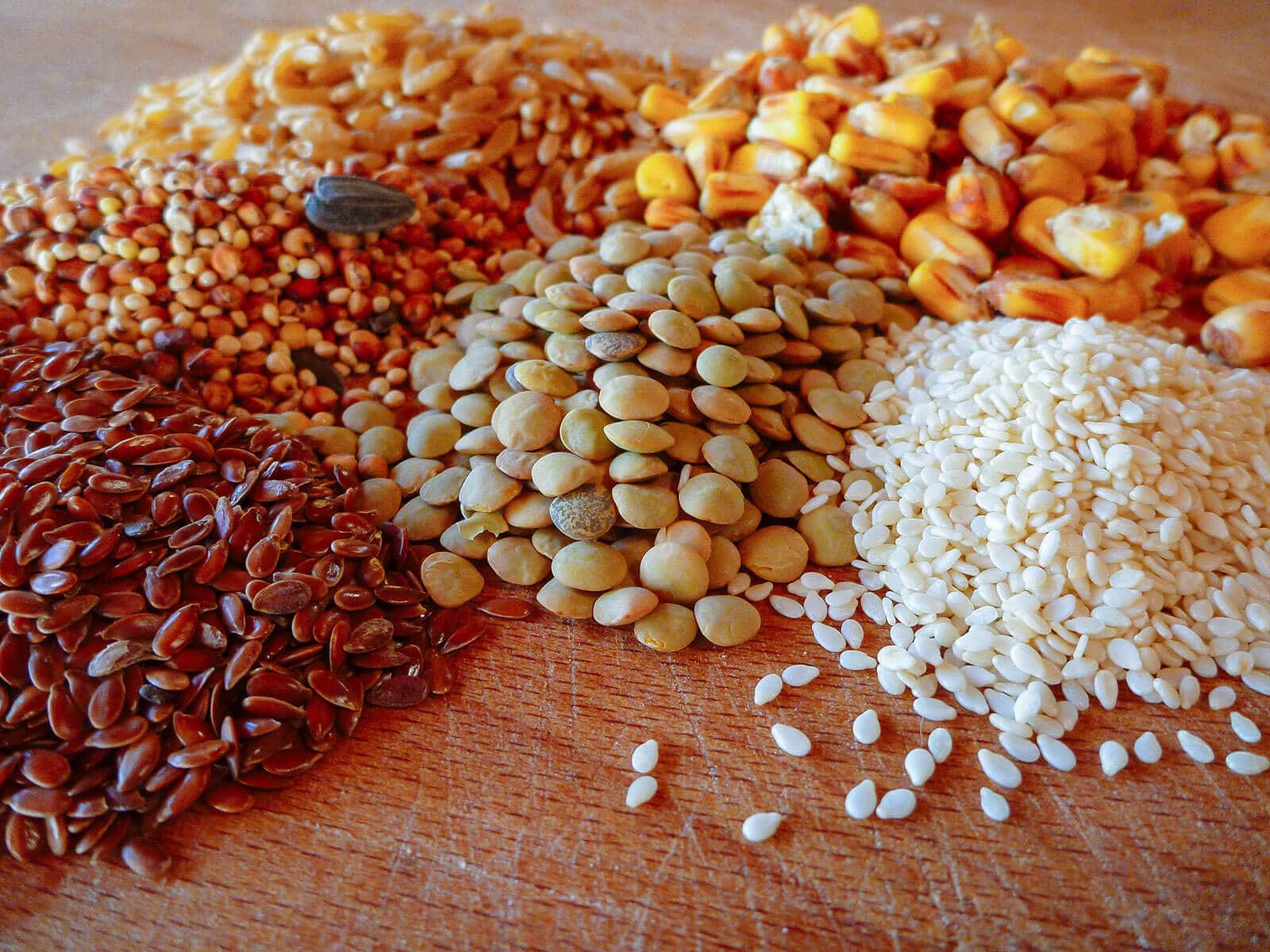 A lidded plastic storage bin filled with a mixed chicken feed blend of corn, wheat, peas, soy, and sunflower seeds in a tidy backyard feed area