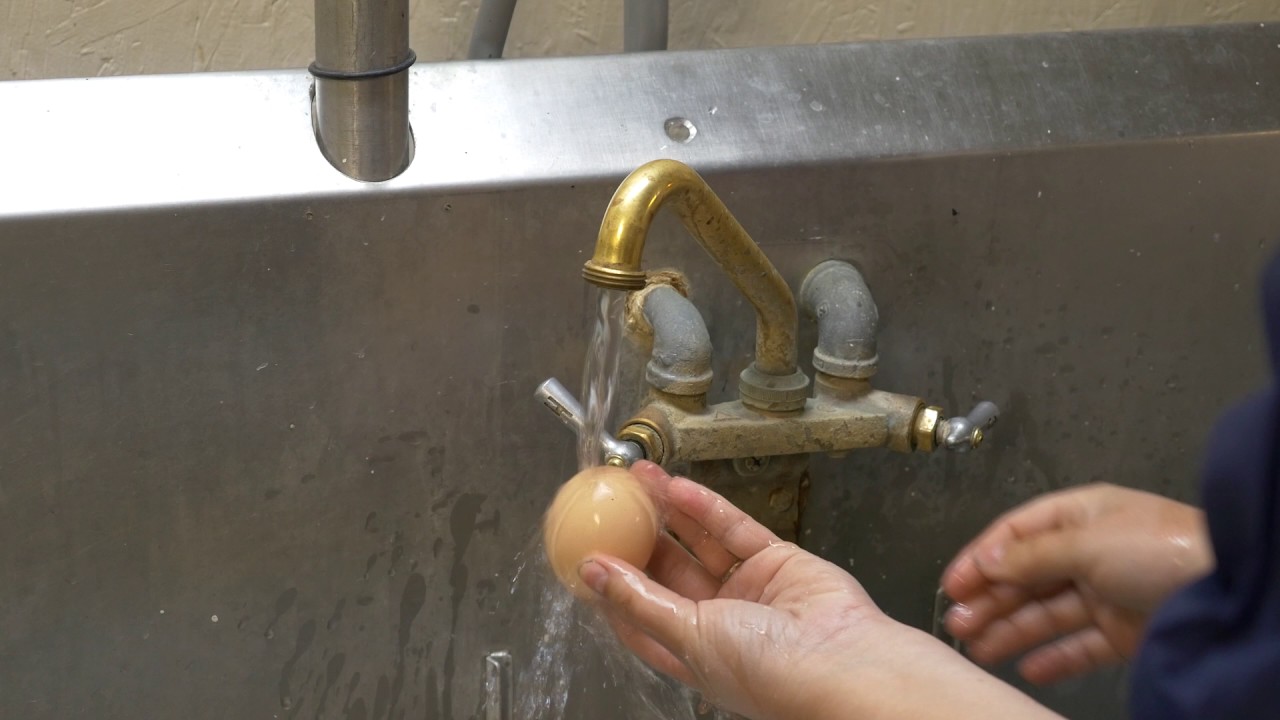A pair of hands rinsing a freshly laid egg under warm running water at a kitchen faucet