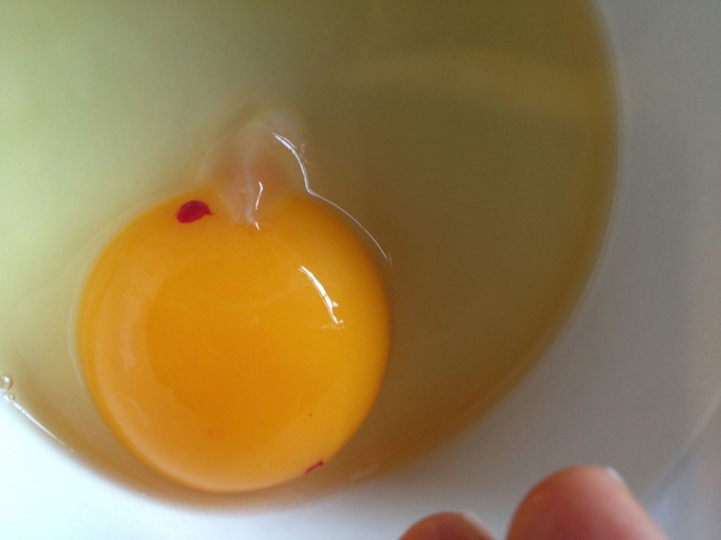 A raw egg cracked into a bowl with a small red blood spot visible near the yolk.