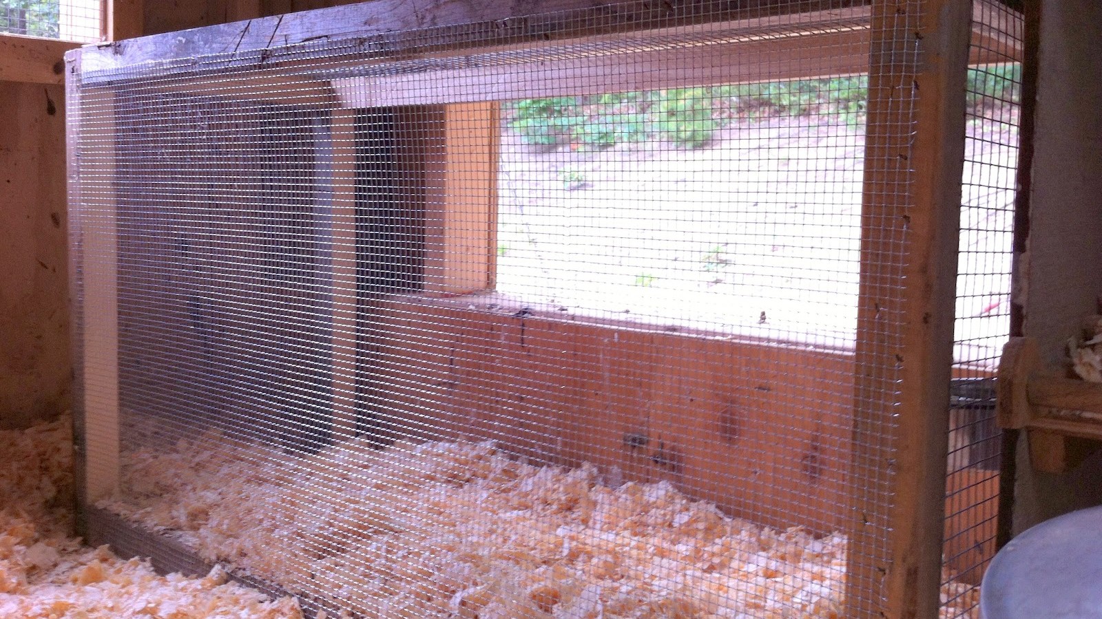 A recovered hen resting calmly in an indoor pet crate with clean bedding, a small water dish, and soft warm lighting