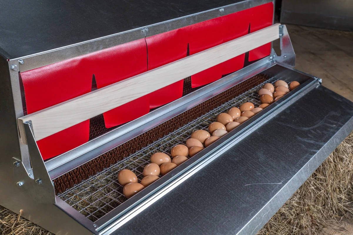 A roll-away chicken nesting box mounted inside a coop, with a covered egg collection compartment holding several clean eggs