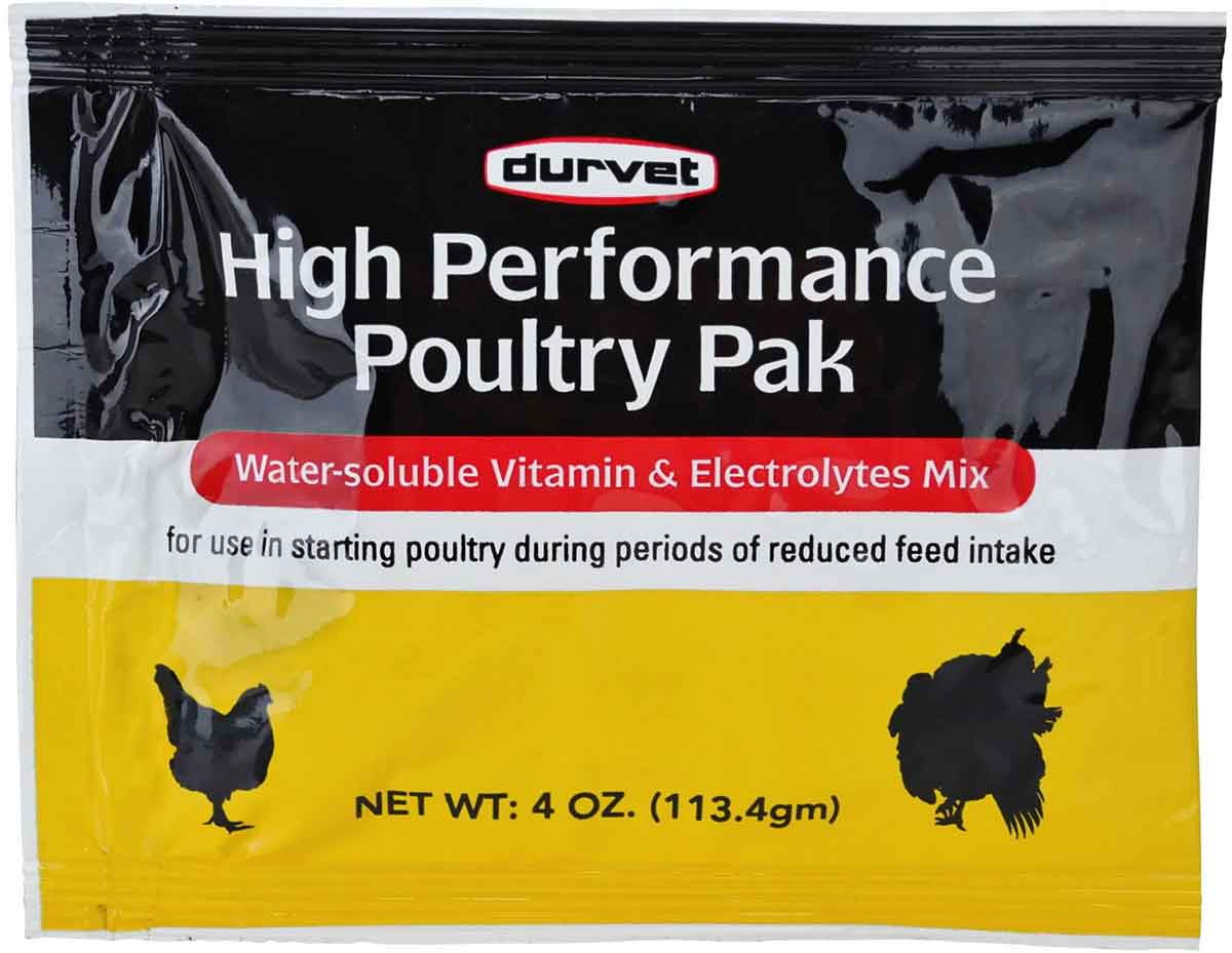 A scoop of poultry electrolyte powder being measured into a bucket of water on a patio table with a chicken run in the background