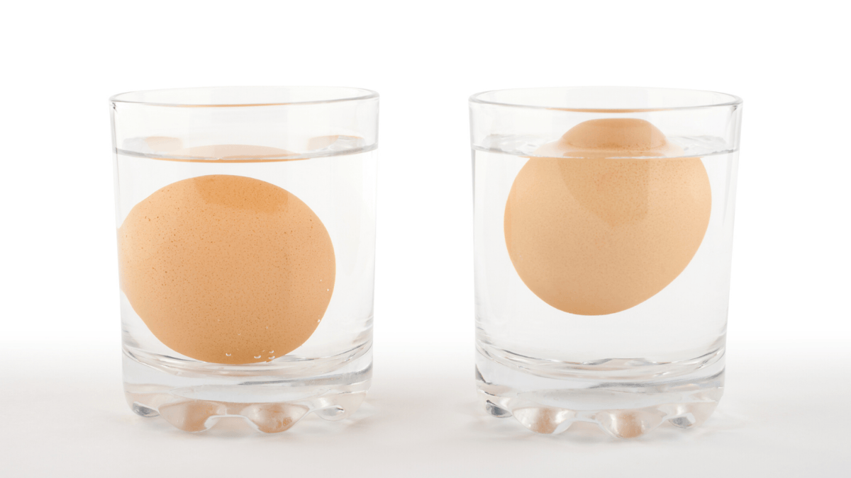 A single egg standing upright in a clear bowl of water on a kitchen counter