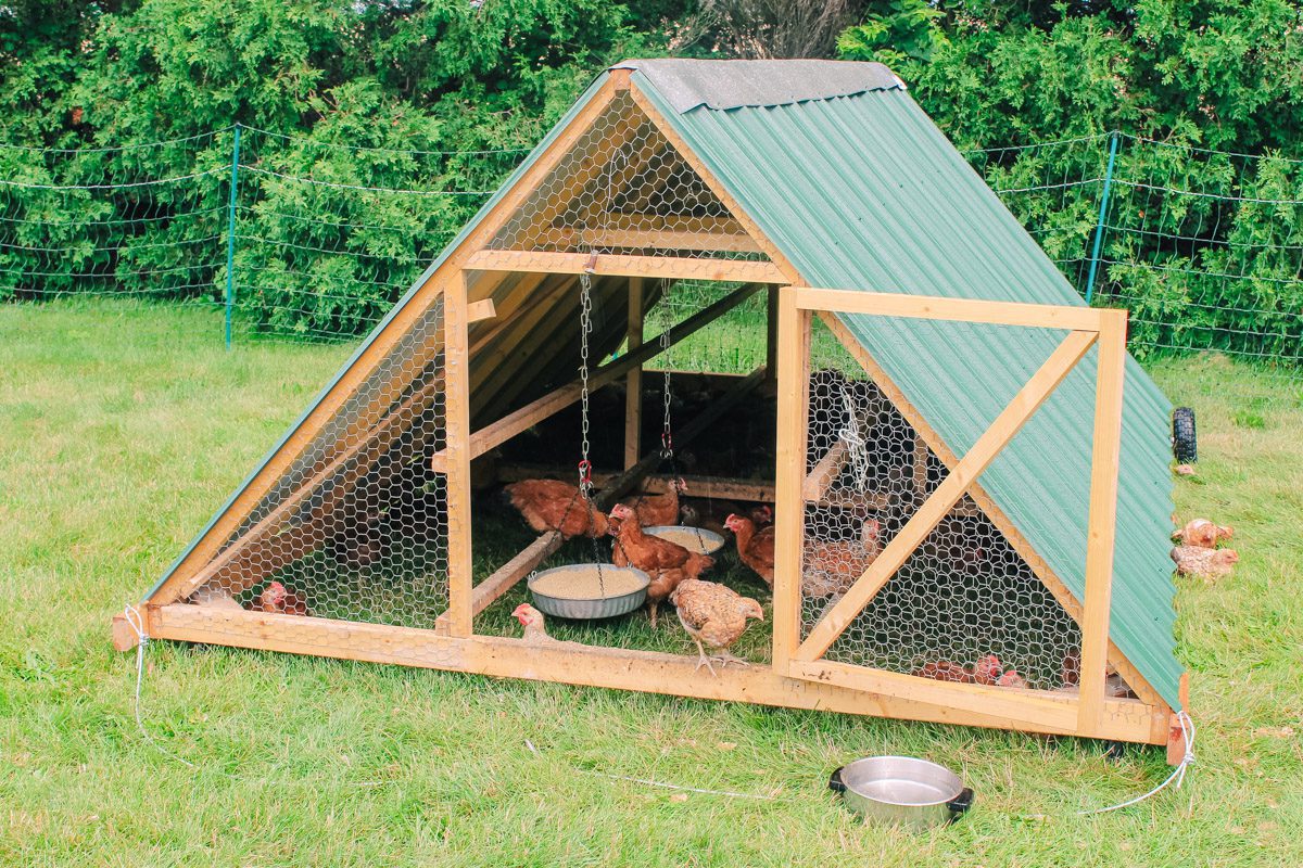 Chicken Tractors 101