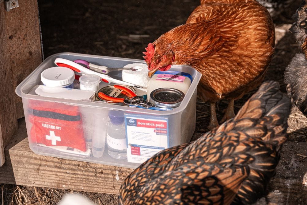 Backyard Chicken First Aid Kit Essentials