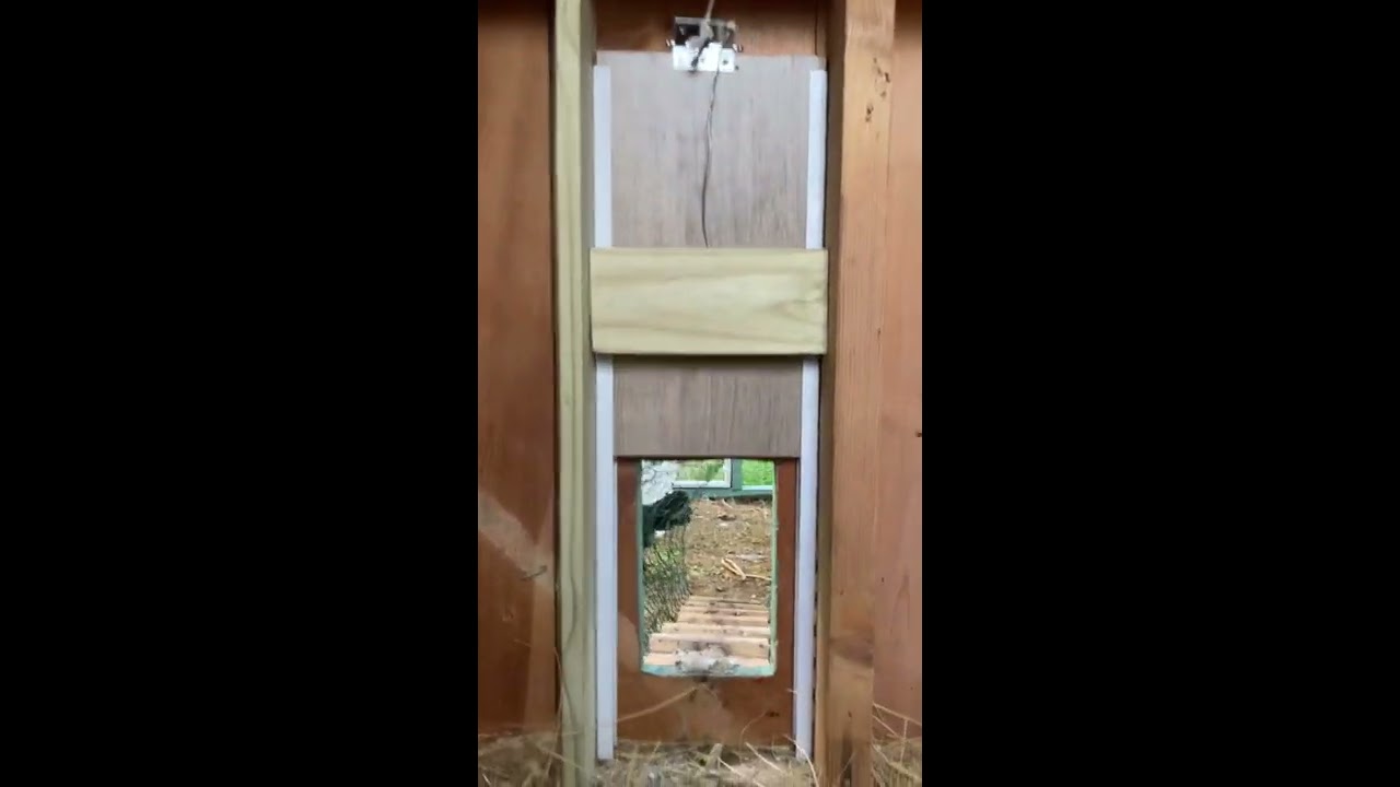 A vertical sliding chicken coop pop door mounted in metal rails on a backyard coop, shown in early morning light
